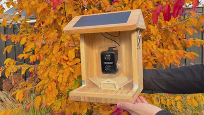 Vogelvoederhuisje met Camera en Audio - AI Vogelherkenning - Hout - Dubbel zonnepaneel - Hangend